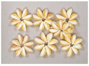 yr[e100~OFFN[|zy񂹁z ^JVFO CeA ԍ t[AWg t[AWg Ԋ Ԏ  t[AW