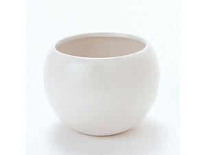 yr[e100~OFFN[|zy񂹁z o[X{ELL VCj[AC{[ CeA ԍ t[AWg Ԋ ԕr ԕr t[x[X Ԋ Ԏ  t