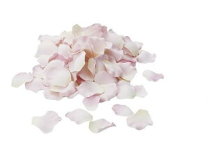 yr[e100~OFFN[|zy񂹁zYDM  [Yy^ N[sN CeA ͂Ȃ ϗtA ԍ t[AWg tFCNt[ Xܑ o ԍ 