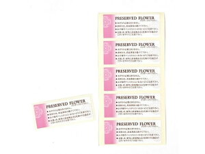 yr[e100~OFFN[|zy񂹁z vU[uhV[ 50 t[AWg Ԋ Ԏ  t[AWgޗ