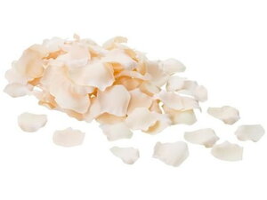 yr[e100~OFFN[|zy񂹁zYDM  [Yy^ CeA ͂Ȃ ϗtA ԍ t[AWg tFCNt[ Xܑ o ԍ   t