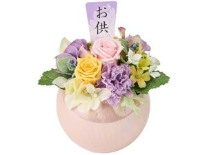 yr[e100~OFFN[|zy񂹁z vU[uht[ ʉ() CeA ͂Ȃ ԍ t[AWg tFCNt[ Xܑ   d