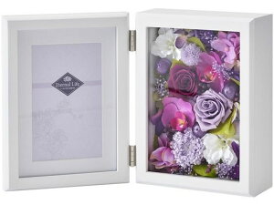 yubNtCf[聚279:59X|Cg2{zy񂹁z vU[uht[ ؊z (͂Ȃ) CeA ͂Ȃ ԍ t[AWg tFCNt[ 