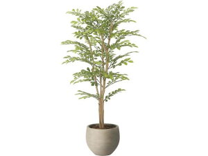 yr[e100~OFFN[|zy[J[zA[gNGCV i` CgglR 1.1m 61280070yszlHA tFCNO[ GgX CtH[V