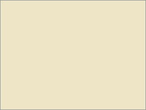 y}\2,000~N[|119:59|Cg2{zy񂹁zkzR[|[V F㎿  A5 T  500 CG[n  J[Rs[p