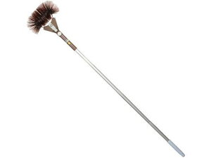 yr[e100~OFFN[|z AY}H N̑ F LL593 ق `g | | |