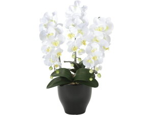 �y���r���[���e��100�~OFF�N�[�|���z�y���[�J�[�����z�A�[�g�N���G�C�V���� �Ӓ����Z���[�X�z���C�g ����66cm 61280004�y����s�z�l�H�A�� �t�F�C�N�O���[�� �G���g�����X �C���t�H���[�V��