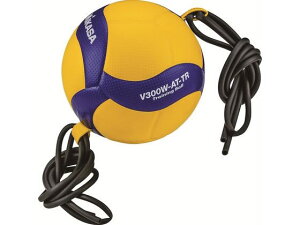 yubNtCf[聚279:59X|Cg2{zy񂹁z~JT g[jO{[ 5 u[^CG[ V300W-AT-TR