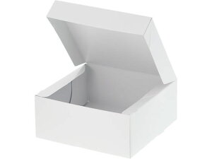 yr[e100~OFFN[|zy񂹁zP[L PC-J[65 4 10 zCg 004260103 fU[gp eCNAEg gH Lb` e[u