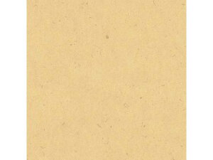 yr[e100~OFFN[|zy񂹁zwCR[  S i` 100 002354200   bsO