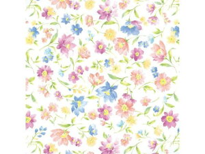 yr[e100~OFFN[|zy񂹁zwCR[  S A}h 100 002353700   bsO