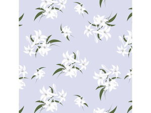 yr[e100~OFFN[|zy񂹁zwCR[  S  50 002353704   bsO