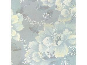 yr[e100~OFFN[|zy񂹁zwCR[  S Zj[ 50 002417701   bsO