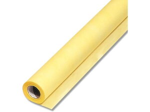 yr[e100~OFFN[|zy񂹁zwCR[ t[bsO[ Fbv NO.10 CG[ 1{ 006777417 t[AWg Ԋ Ԏ  t[A