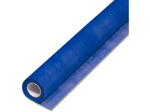 yr[e100~OFFN[|zy񂹁zwCR[ t[bsO[ Fbv NO.48 Cu[ 1{ t[AWg Ԋ Ԏ  t[A