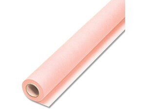 yr[e100~OFFN[|zy񂹁zwCR[ t[bsO[ Fbv NO.24 s[` 1{ 006777427 t[AWg Ԋ Ԏ  t[A