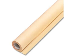 yr[e100~OFFN[|zy񂹁zwCR[ t[bsO[ Fbv NO.20 EX_C_C 1{ t[AWg Ԋ Ԏ  t[A