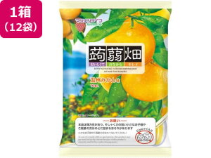 y}\聚249:59|Cg2{z}iCt 蔨 B݂ 12 [[ fU[gَq َq
