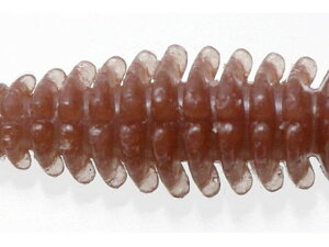 yr[e100~OFFN[|zy񂹁zissei bibibi oO 2.6 46 AJ}cSP oX \tgA[N[ zO[ A[ tbVEH[^[ ނ AEghA