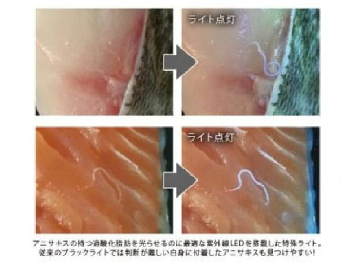 楽天市場】【レビュー投稿で100円OFFクーポン】 【お取り寄せ】パック 