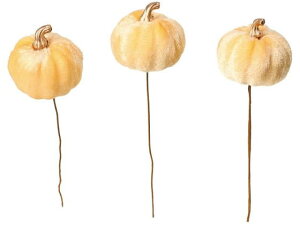 yr[e100~OFFN[|zy񂹁zYDM xxbgpvLsbN3P Y HW-1605 t[AWg Ԋ Ԏ  t[AWgޗ