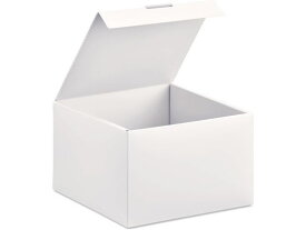 【レビュー投稿で100円OFFクーポン】【お取り寄せ】プラス ito/oshi 組立式PPBOX 新書サイズ オフホワイト ボックスファイル PP製 ボックス型ファイル