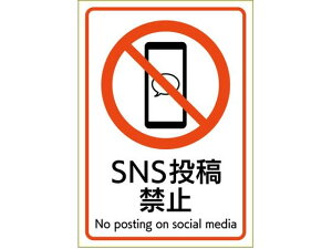 �y���r���[���e��100�~OFF�N�[�|���z�y�����񂹁z�q�T�S �s�^�����O�X�e�b�J�[ SNS���e�֎~ A4 1�� KLS115 ���S�W�� �X�e�b�J�[ ���� ���S ���