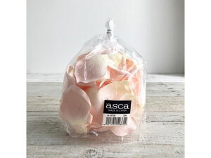 yX[p[SALE2,000~N[|119:59|Cg2{z y񂹁zAXJ [Yy^(1ܖ100) s[` 72-15735-4 ԍ   t[AWgޗ