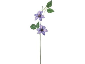 yr[e100~OFFN[|zy񂹁zYDM N}`X Cgp[v FS-7962LPU ԍ   t[AWgޗ