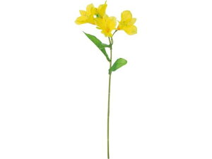 yr[e100~OFFN[|zy񂹁zYDM AXgA CG[ FF-3061Y ԍ   t[AWgޗ