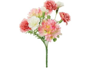 yX[p[SALE2,000~N[|119:59|Cg2{z y񂹁zYDM J[l[V~bNXubV N[sN ԍ   t[AWgޗ