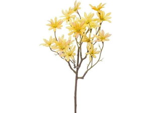 yr[e100~OFFN[|zy񂹁zYDM tOXf[W[ CG[ FA-7148-Y ԍ   t[AWgޗ