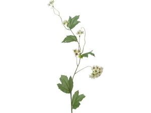 yr[e100~OFFN[|zy񂹁zYDM ro[i zCgO[ FA7094-W G ԍ   t[AWgޗ