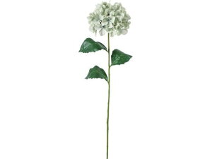 yr[e100~OFFN[|zy񂹁zYDM RtH[gnChWA O[O[ ԍ   t[AWgޗ