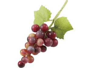 yr[e100~OFFN[|zy񂹁zH| T0316 ~jO[v×24 #014 C^66-807919-0  tFCNt[c   t[AWgޗ