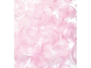 yr[e100~OFFN[|zy񂹁zH| J[RL[ 7g sN/63-3081-2 t[AWg Ԋ Ԏ  t[AWgޗ