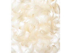 yr[e100~OFFN[|zy񂹁zH| J[RL[ 7g x[W/63-3081-14 t[AWg Ԋ Ԏ  t[AWgޗ