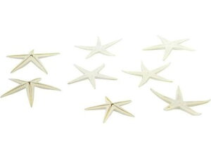 yr[e100~OFFN[|zy񂹁zH| X^[tBbVNo.024 8R zCg/165-1161-1 t[AWg Ԋ Ԏ  t[AWgޗ