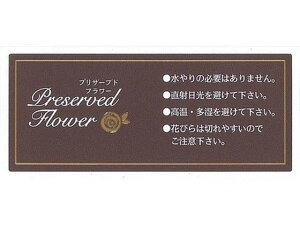 yr[e100~OFFN[|zy񂹁zH| CXgNVV[IS-2 50}C/102-2102-0 ԍ vU[uht[  t[AWgޗ