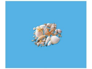 yr[e100~OFFN[|zy񂹁zH| VF~bNX 120g/165-1090-0 t[AWg Ԋ Ԏ  t[AWgޗ