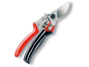 yr[e100~OFFN[|zy񂹁zAX  uCGXGCg[^[ VS-8R nT~ _ _Ǝ |pi Ɨpi H