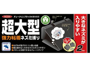 yr[e100~OFFN[|zy񂹁zCJ `[NubN KnEX 2   E | K[fjO