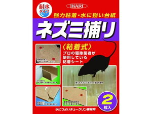 yr[e100~OFFN[|zy񂹁zCJ ɂ悢`[N Ɩp 2   E | K[fjO