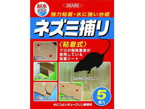 yr[e100~OFFN[|zy񂹁zCJ ɂ悢`[N Ɩp 5   E | K[fjO