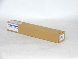 【楽天スーパーSALE限定★店内最大60%OFF】【お取り寄せ】汎用 富士フイルムBI CT203170 トナー シアン NB-TNCT203170 富士ゼロックス FUJIXEROX レーザープリンタ トナーカートリッジ インク
