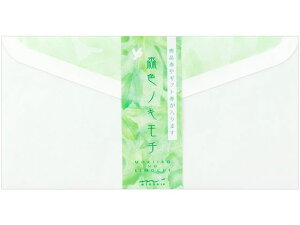 yr[e100~OFFN[|zy񂹁z~h  XFmL` 10 20404006 m m[g