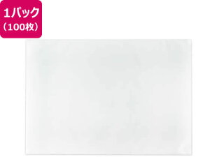 �y�}���\�����聚�|�C���g2�{�z�v���X ���ŋ� �ی�|�P�b�g 100���� �N���A�[ 84120 FL-170K �w�� ���� �w������ ����
