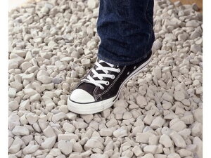 yr[e100~OFFN[|zy[J[zt@~[ECt hƂɂȂ鉹W 60L ItzCg a3387210yszhƍ tFXpEѕԂ N΍ h