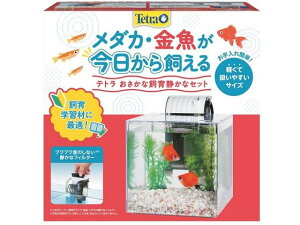 yr[e100~OFFN[|zy񂹁zXyNg eg Ȏ ÂȃZbg PL-17SF  Ɩ ObY Ϗ܋ ybg ANAE