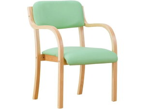 【レビュー投稿で100円OFFクーポン】【メーカー直送】ファミリー・ライフ 立ち座りサポートチェア グリーン 0408620【代引不可】【お客様組立】ダイニングチェア ソファ イス リビング家具